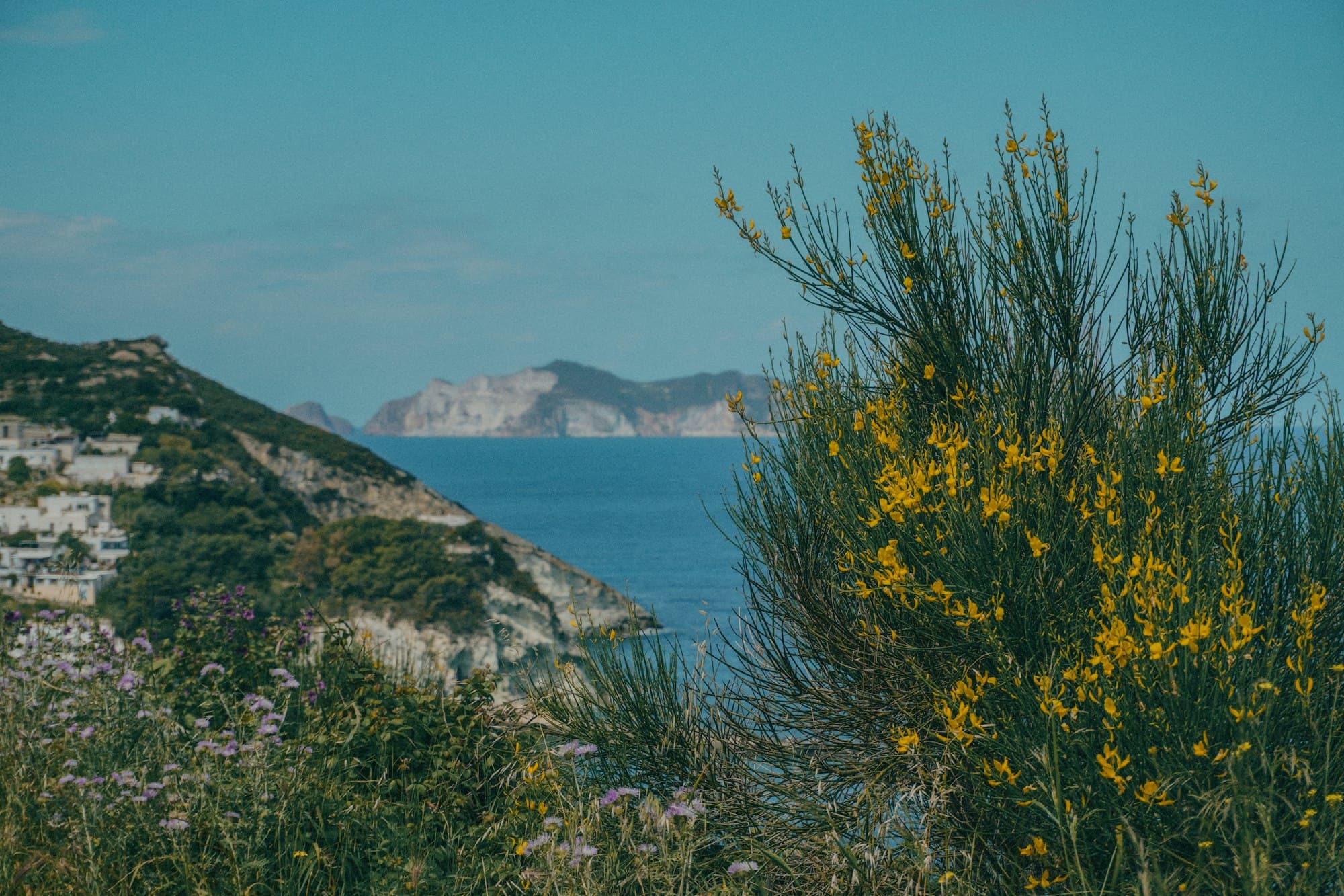Una giornata in mare verso Ponza, fotografia 3