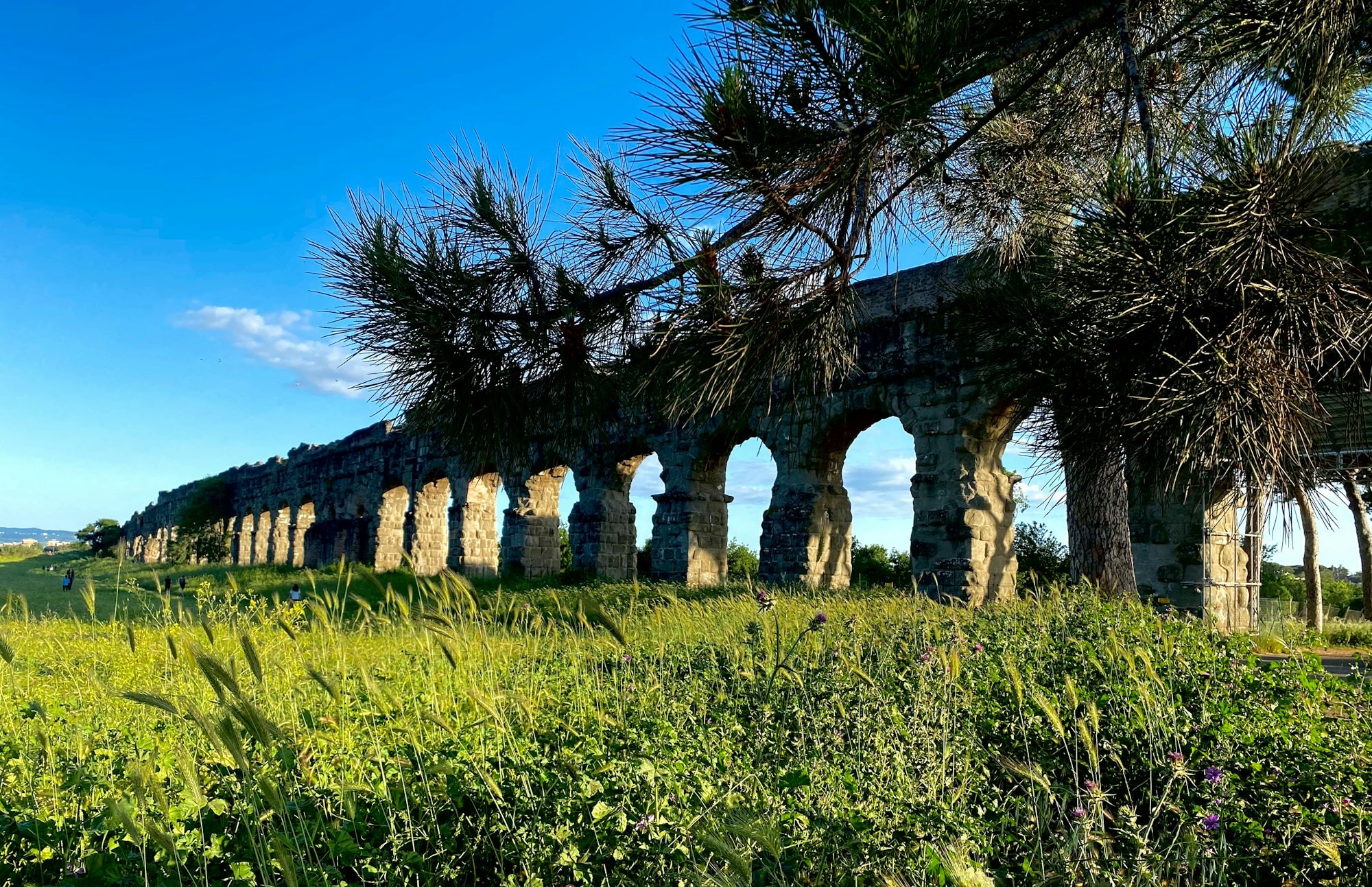 In e-bike sull'Appia Antica