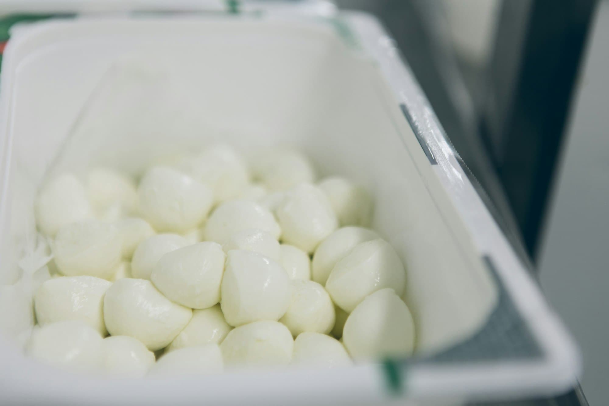La mozzarella di bufala nella Piana di Fondi, fotografia 3