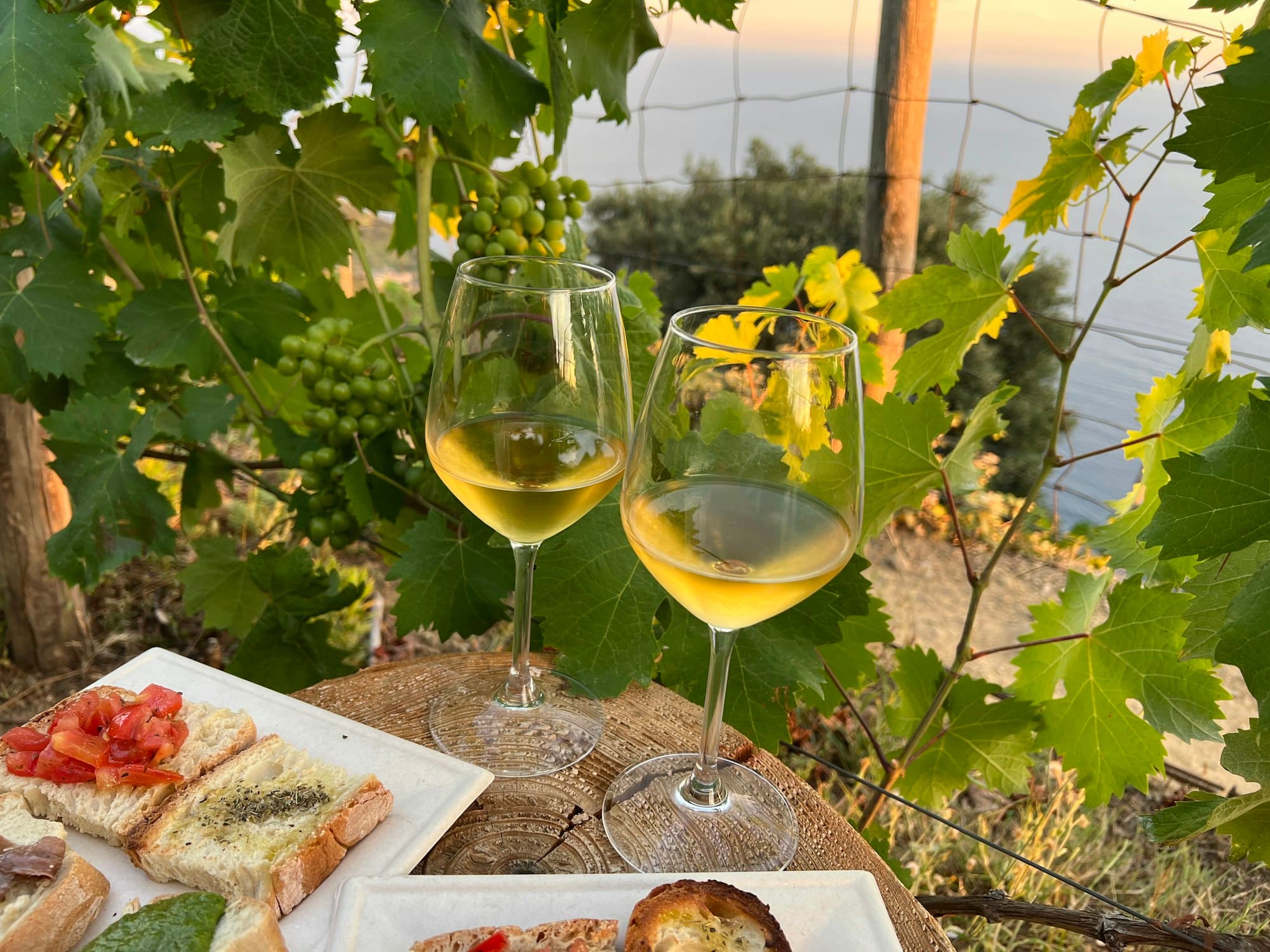 Degustazione di vini italiani con un sommelier, fotografia 3